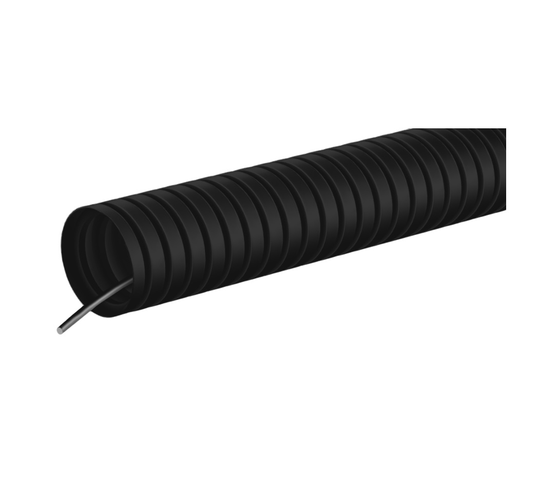 ����� � ��������� (������)